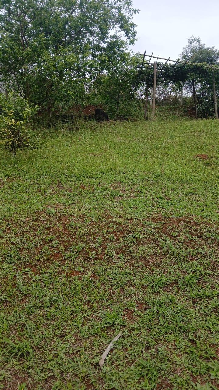 Terreno em Cajamar: 705m², oportunidade de 2 lotes, excelente localização