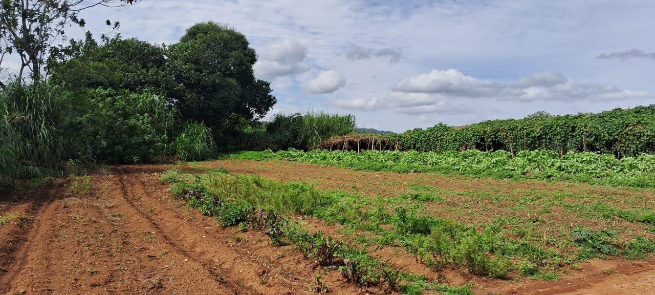 Terreno à venda, Chácaras São José, Franco da Rocha, SP