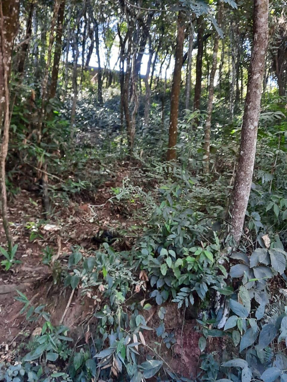 Terreno à venda, Jardim Paulista, Atibaia, SP